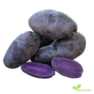 May include: A pile of purple potatoes, some whole and some cut in half, revealing the vibrant purple flesh.