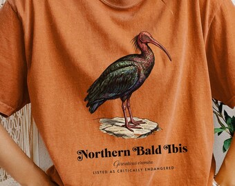 T-shirt med illustration av nordlig skallig ibis | Konst för vilda djur och fåglar