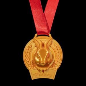 Easter Egg Hunt Award Set With Ribbons- Easter Bunny Medal Gold Silver Bronze. Complete Or Partial Award Set With Ribbons