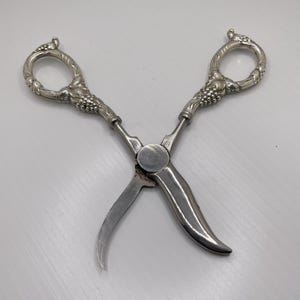 May include: A pair of silver-toned metal scissors featuring ornate, textured handles with a detailed grape cluster motif. The blades are curved and pointed, meeting at a central circular pivot point. The overall finish is metallic and reflective.