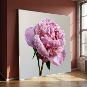 May include: A large square wall art print featuring a single, full-bloom pink peony flower with visible water droplets on its petals. The flower is set against a neutral, light grey background, showcasing detailed textures and soft pink hues.