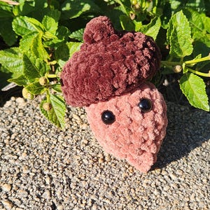 Acorn pop it