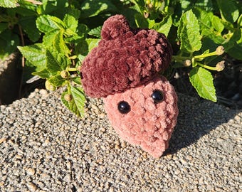 Acorn pop it