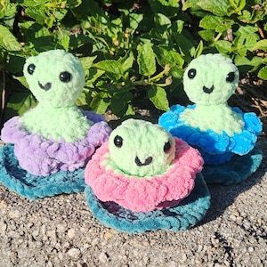 Frog and Lilypad pop it