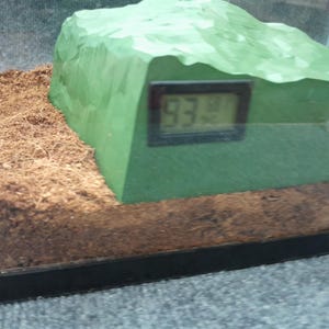 Pode incluir: Um esconderijo verde, texturizado, em forma de rocha com um term&ocirc;metro digital que mostra 83,9 graus Fahrenheit.