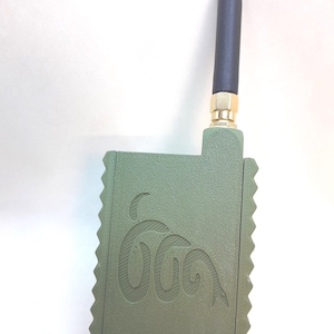 Meshtastic Ready to use RAK Wisblock Node: 915mhz Radio with Green