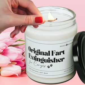 Gifts for Dog Lover, Dog Mom Dog Dad, Corgi gift, Fart Extinguisher Candle, Corgi Lovers Gifts, Funny Candle, Dog Owner Gifts - Soy 9oz
