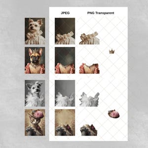 Puede incluir: Un collage digital de cuatro mascotas diferentes vestidas con ropa vintage. Las mascotas incluyen un Yorkshire Terrier, un Bulldog Franc&eacute;s, un Chihuahua y un gato. Cada mascota lleva un atuendo diferente, incluyendo un vestido rosa, un vestido blanco, un vestido blanco con un lazo rosa y un vestido rosa con una flor rosa.