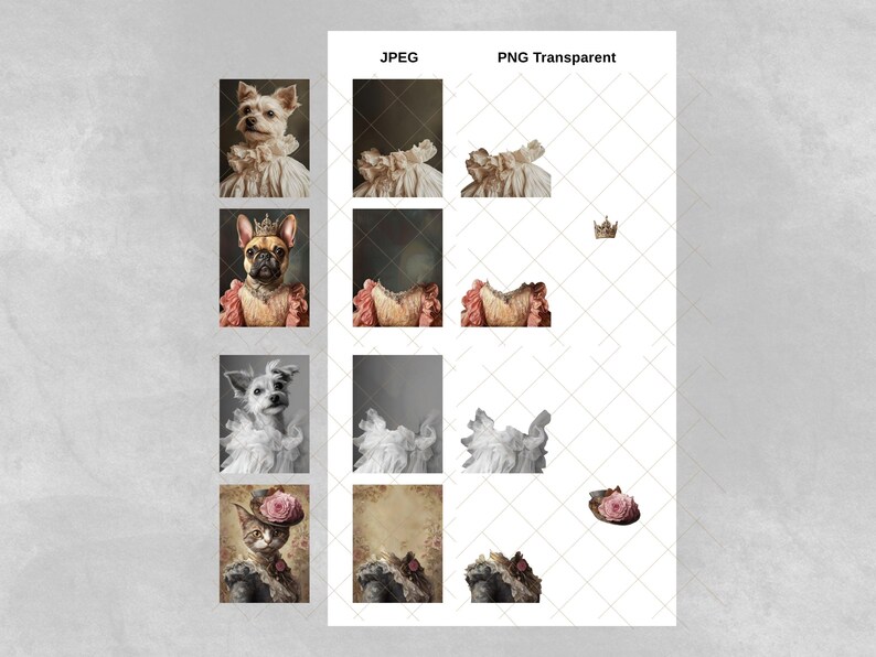 Puede incluir: Un collage digital de cuatro mascotas diferentes vestidas con ropa vintage. Las mascotas incluyen un Yorkshire Terrier, un Bulldog Franc&eacute;s, un Chihuahua y un gato. Cada mascota lleva un atuendo diferente, incluyendo un vestido rosa, un vestido blanco, un vestido blanco con un lazo rosa y un vestido rosa con una flor rosa.