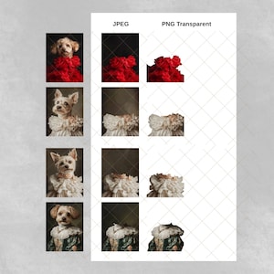 Puede incluir: Cuatro im&aacute;genes de un perro peque&ntilde;o con diferentes atuendos. El perro es un Yorkshire Terrier con un pelaje blanco y marr&oacute;n. Los atuendos son un collar de volantes rojo, un collar de volantes blanco, un collar de volantes blanco y un collar de volantes verde.