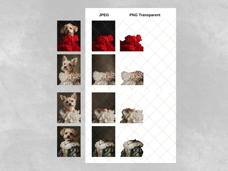 Puede incluir: Cuatro im&aacute;genes de un perro peque&ntilde;o con diferentes atuendos. El perro es un Yorkshire Terrier con un pelaje blanco y marr&oacute;n. Los atuendos son un collar de volantes rojo, un collar de volantes blanco, un collar de volantes blanco y un collar de volantes verde.