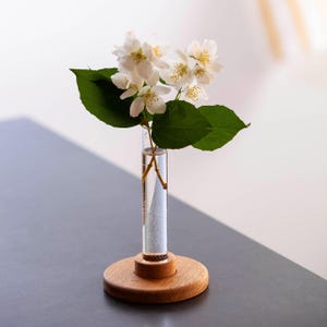 Könnte beinhalten: Eine kleine Glasvase mit Holzsockel, ca. 15 cm hoch, mit weißen Jasminblüten und grünen Blättern. Die Vase ist zylindrisch, und der Holzsockel ist rund und hellbraun. Die Blüten haben gelbe Zentren.