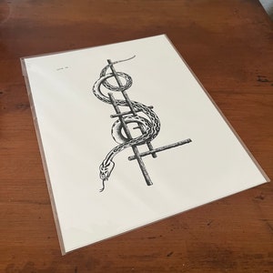 May include: Black and white illustration of a snake wrapped around a ladder. The snake is coiled around the ladder rungs and its head is facing down. The image is on a white background.