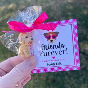 Friends Furever Rosa San Valentino Stampabile Personalizzato Tag San Valentino Stampabile Carta Download Istantaneo