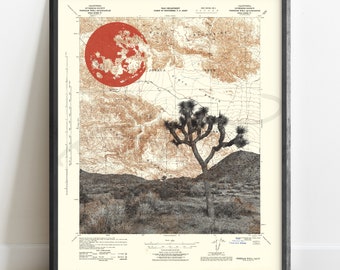 California | Joshua Tree National Park Topographic Art Print | Map of Joshua Tree | Home Decor | Joshua Tree Wall Art | Gallery Wall | SoCal