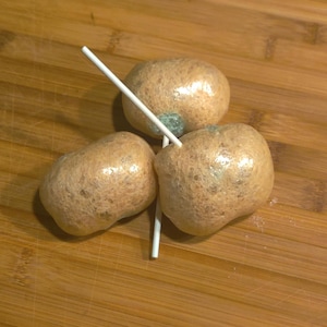 Freeze Dried Caramel Apple Pops