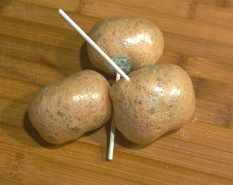 Freeze Dried Caramel Apple Pops