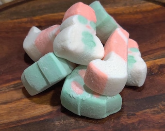 Freeze Dried Christmas Marshmallows