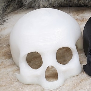 Skull Hide for Small Animals