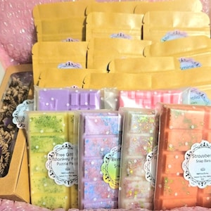 XL Soy Wax Melt Mystery Box: Assorted Scents & Shapes