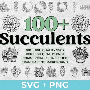 Plus de 100 succulents designs SVG PNG | Dessin au trait Cactus fleurs sauvages SVG Bundle | Clipart succulente pour jardinage, sublimation, usage commercial