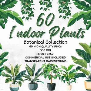 Paquete de imágenes prediseñadas de plantas de interior: ¡perfecto para regalos, decoración y arte relacionados con las plantas! Regalo ideal para los amantes de las plantas: diseños de sublimación, pegatinas imprimibles