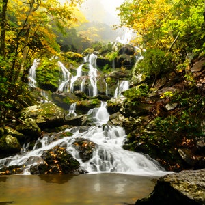 May include: A cascading waterfall flows through a lush green forest with vibrant yellow leaves. The water tumbles over moss-covered rocks, creating a serene and picturesque scene.
