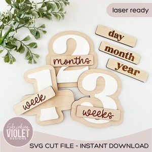 Monthly Milestone Sign Laser File | Baby Age Marker SVG File | Interchangeable Monthly Milestone SVG File | Baby Photo Prop SVG File