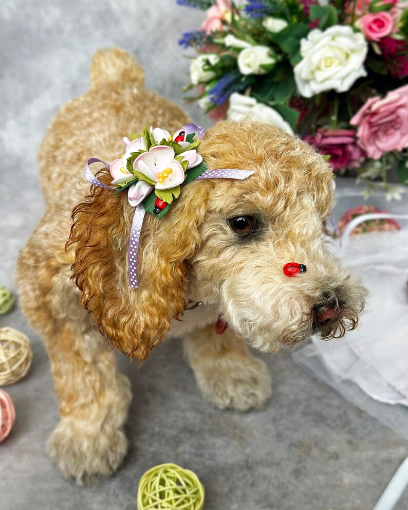 Curly Mohair Dog, Realistic animals, Plush Replica, Pet Portrait, Plush