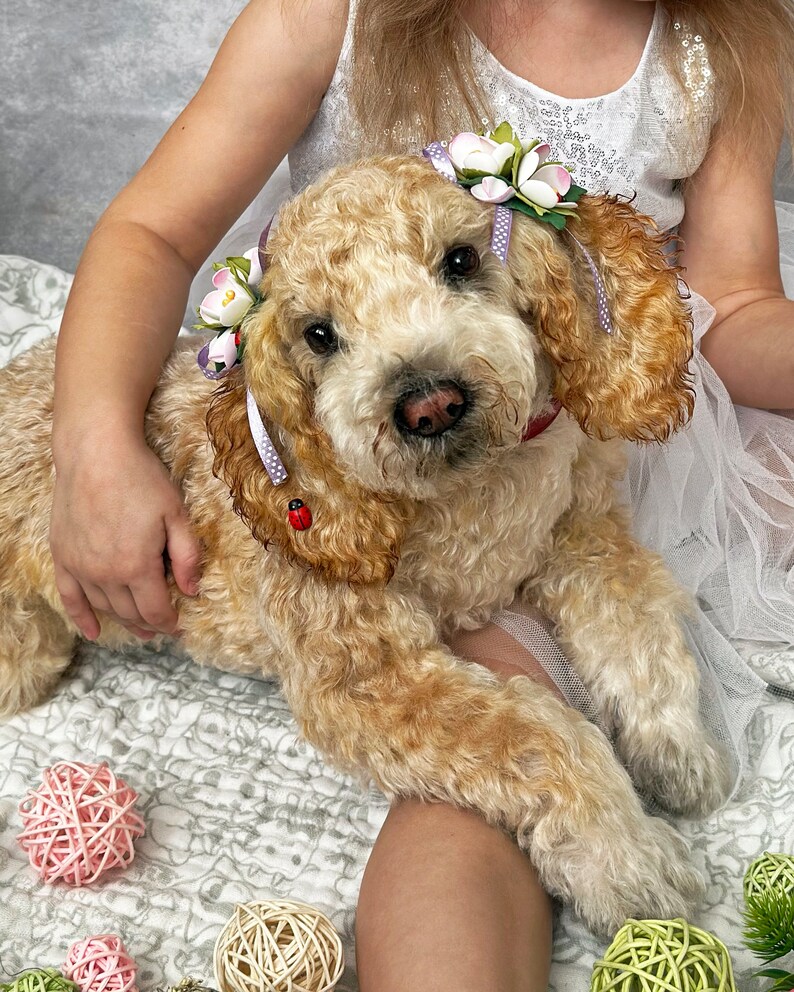 Curly Mohair Dog, Realistic animals, Plush Replica, Pet Portrait, Plush