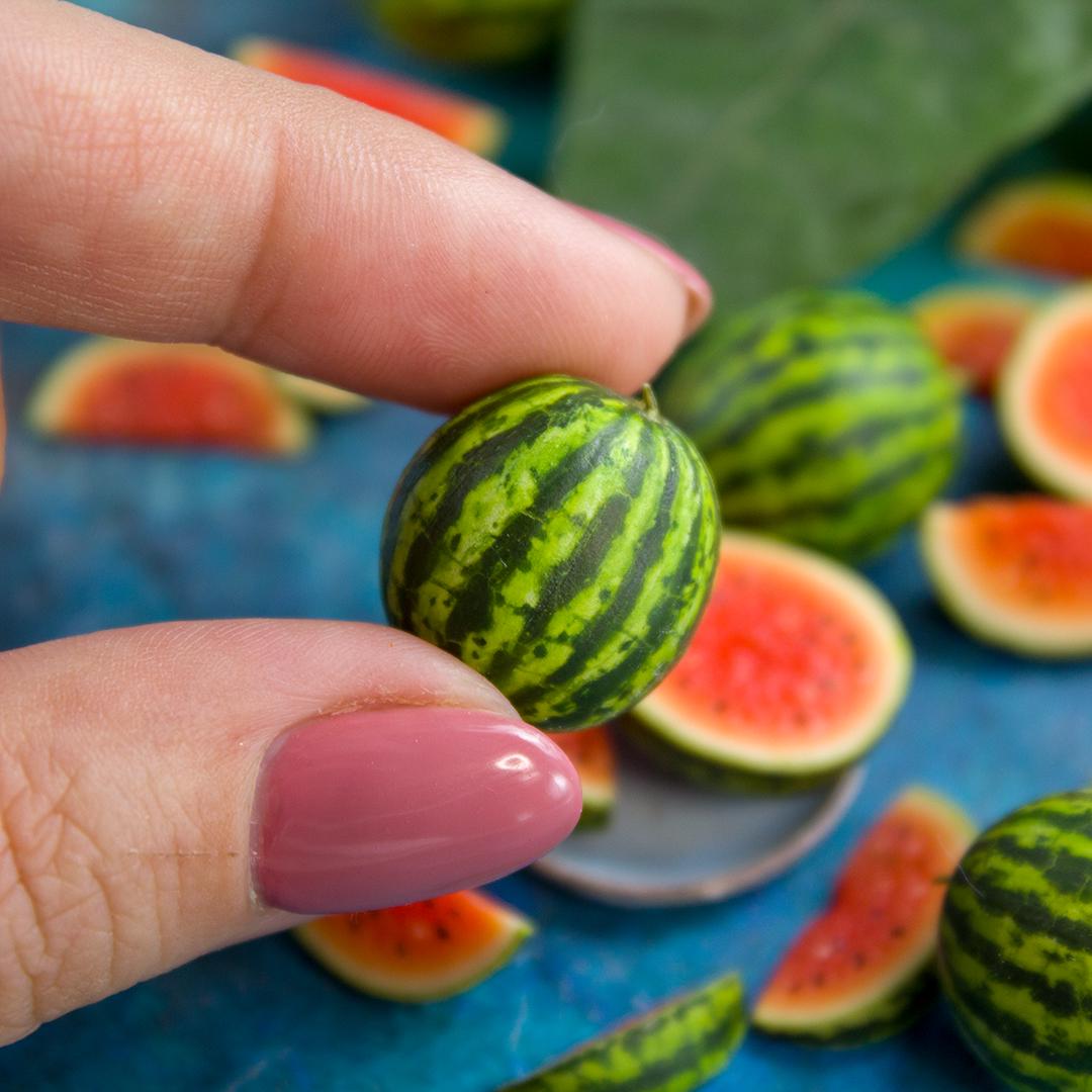 TUTORIAL Miniature Watermelon With Polymer Clay | PDF + Video - Etsy