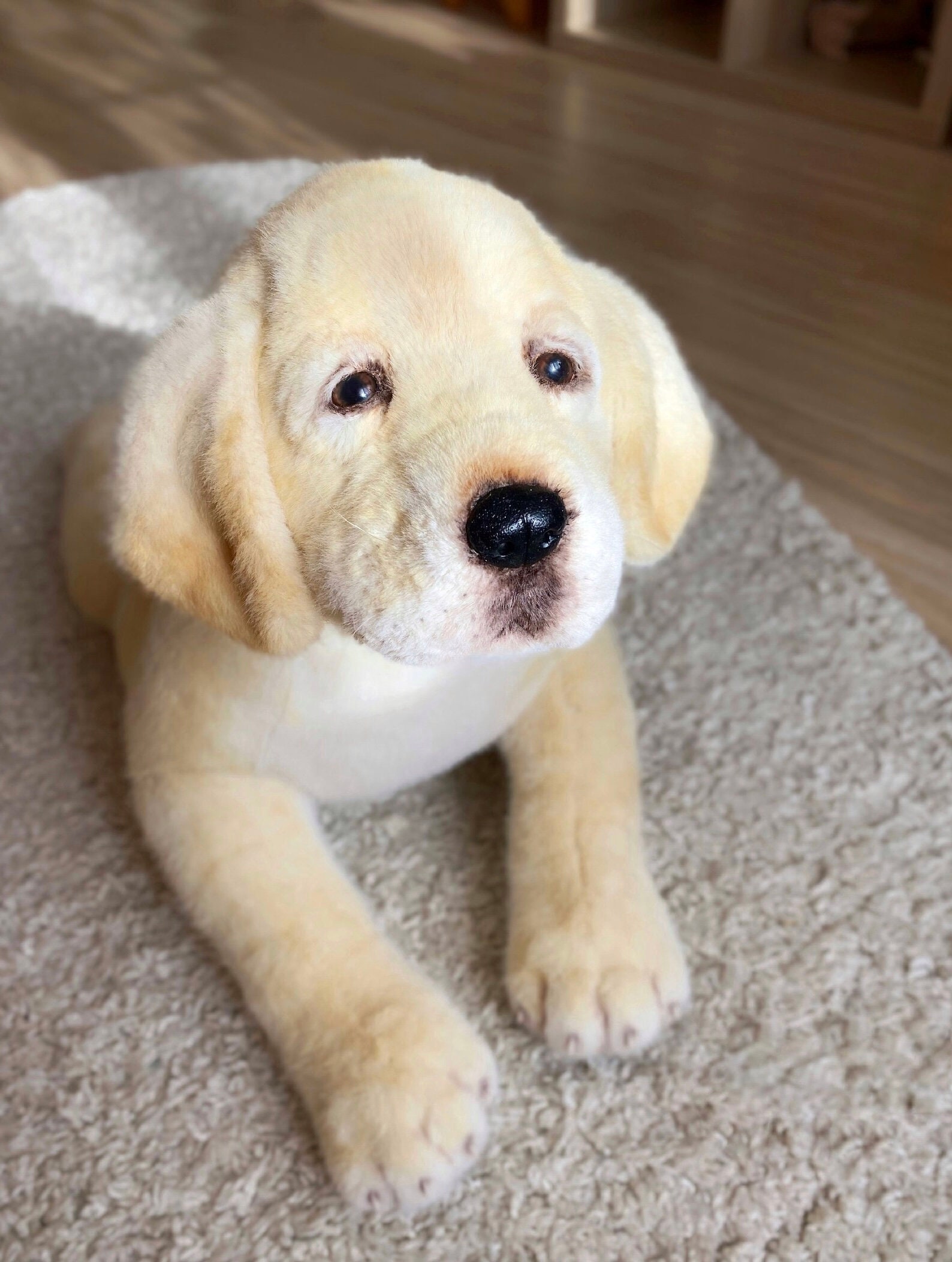 Dog toys for labradors hot sale