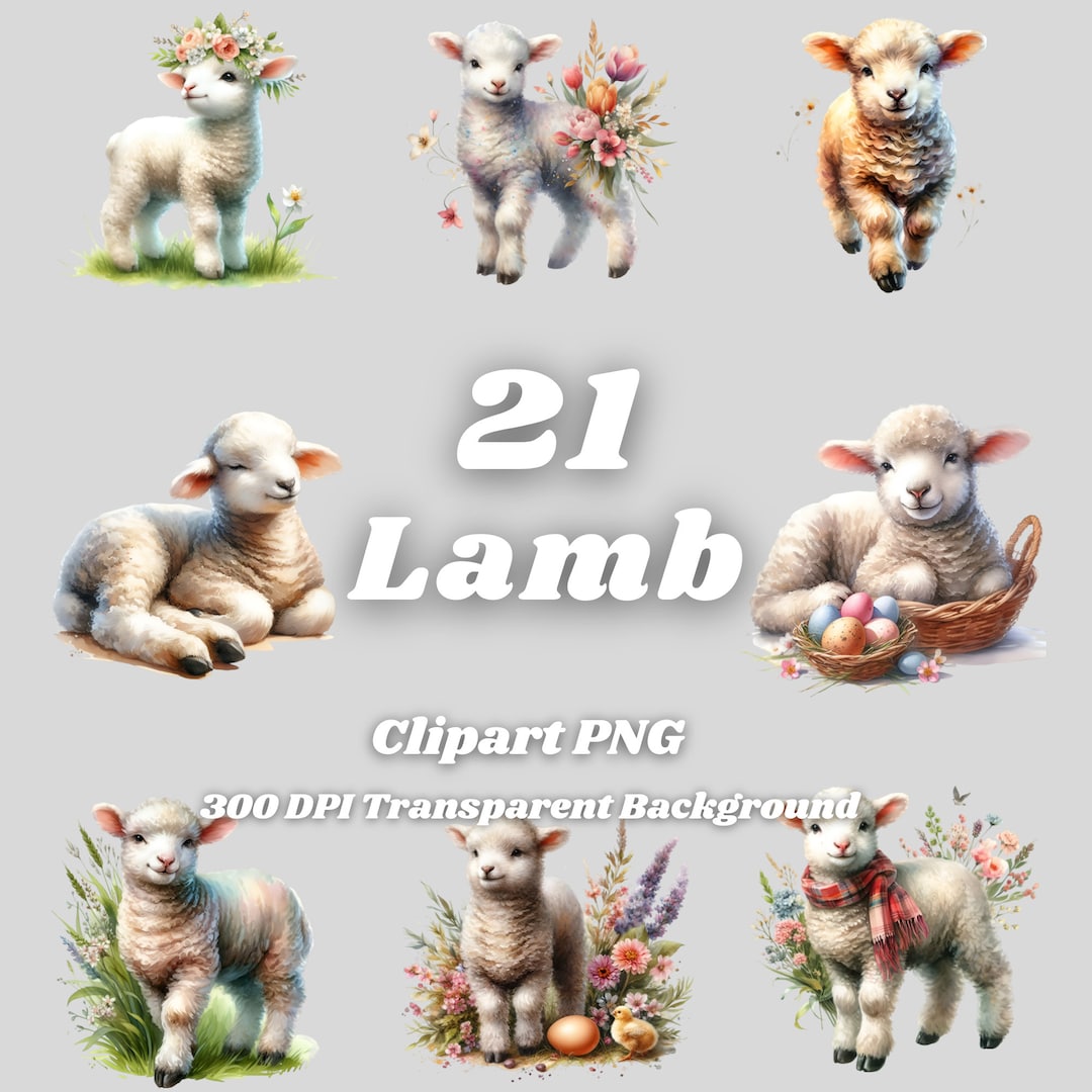 Lamb Clipart PNG – 21 Spring Animal Graphics (digital Download) - Etsy