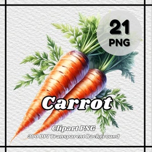 Carrot PNG - 21 Carrot Clipart - PNG Files, Transparent Background, 300 DPI, Ideal for Personal and Commercial Use.