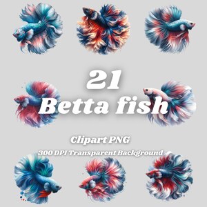 Betta fish PNG - 21 Betta fish Clipart - PNG Files, Transparent Background, 300 DPI, Ideal for Personal and Commercial Use.