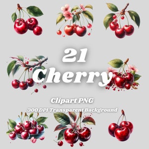 Cherry PNG - 21 Cherry Clipart - PNG Files, Transparent Background, 300 DPI, Ideal for Personal and Commercial Use.