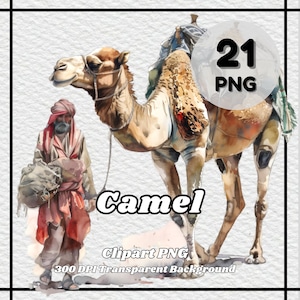 Cammello PNG, 21 clipart di cammello, file PNG, sfondo trasparente, 300 DPI, ideale per uso personale e commerciale.