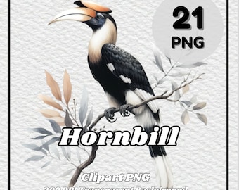 Hornbill Clipart PNG – 21 Bird Graphics, Transparent Background (Digital Download)