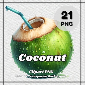 Noix de coco PNG - 21 cliparts noix de coco - fichiers PNG, fond transparent, 300 ppp, idéal pour un usage personnel et commercial.