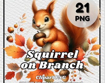 Eichhörnchen auf Ast Clipart - 21 PNG Bilder (Digitaler Download)