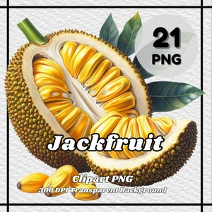 Jackfruit PNG - 21 Jackfruit Clipart - PNG Files, Transparent Background, 300 DPI, Ideal for Personal and Commercial Use.