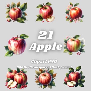 Apple PNG - 21 Apple Clipart - PNG Files, Transparent Background, 300 DPI, Ideal for Personal and Commercial Use.