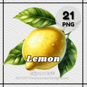 Lemon PNG - 21 Lemon Clipart - PNG Files, Transparent Background, 300 DPI, Ideal for Personal and Commercial Use.