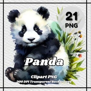 Panda PNG - 21 Panda Clipart - PNG Files, Transparent Background, 300 DPI, Ideal for Personal and Commercial Use.
