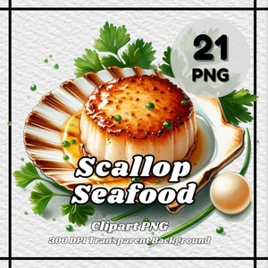 Scallop PNG - 21 Scallop Clipart - PNG-bestanden, transparante achtergrond, 300 DPI, ideaal voor persoonlijk en commercieel gebruik.