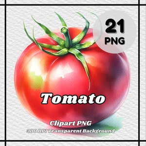 Tomato PNG - 21 Tomato Clipart - PNG Files, Transparent Background, 300 DPI, Ideal for Personal and Commercial Use.