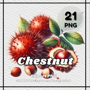 Chestnut PNG - 21 Chestnut Clipart - PNG Files, Transparent Background, 300 DPI, Ideal for Personal and Commercial Use.