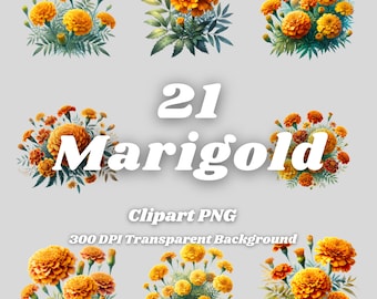 Peut inclure: 21 images clipart numériques de fleurs de souci. Les fleurs sont orange et jaunes et ont des feuilles vertes. Les images sont en 300 DPI et ont un fond transparent.