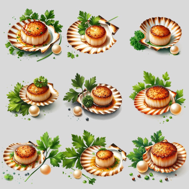 Scallop PNG - 21 Scallop Clipart - PNG Files, Transparent Background ...