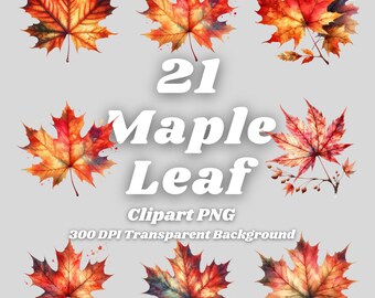 Maple Leaf Watercolor Clipart – Fall Foliage PNG Files (Digital Download)